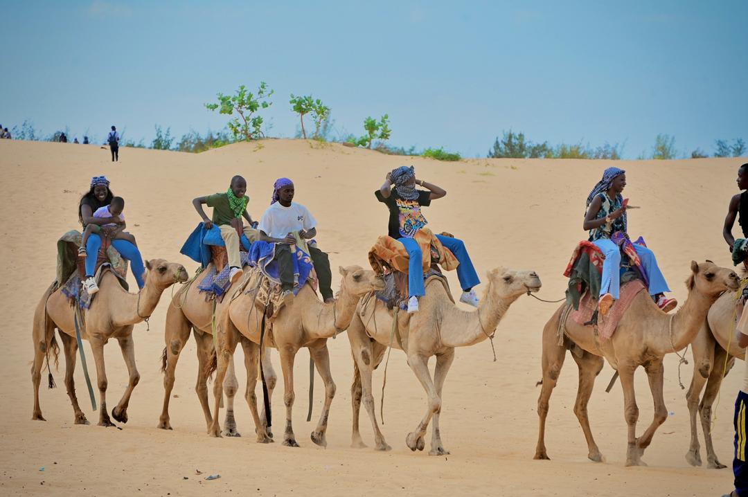Ville historique de Saint-Louis